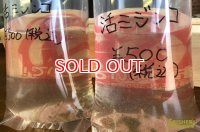 活ミジンコ ｘ１袋（熱帯魚のエサ・金魚のエサ・稚魚のエサ）