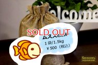 ムススの白砂ｘ１袋(1.5kg)（化粧砂）