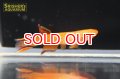 アフィオセミオン オーストレリー ゴールド（ペア）