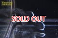 ホワイトエッジブッシープレコ WILD