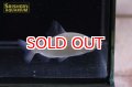 ディスティコダス　ノボリ