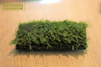 ウィローモス　マット状（国産）