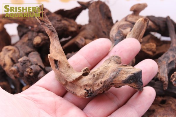 画像3: ドリフトウッド 流木（S) 1個 ◇水槽レイアウト素材◇