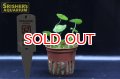 水草 ウォーターマッシュルーム TR POT
