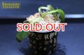 水草 クリプトコリネ レギナ WILD n-2 (１株)