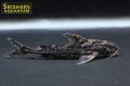 ゴーストドラス