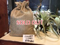 ムススの砂ｘ１袋(1.5kg)【店長オリジナル商品】