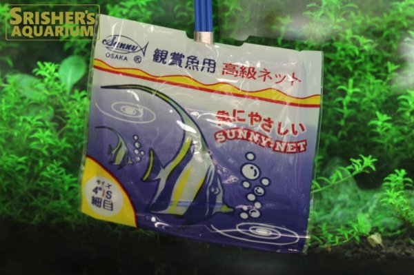 画像2: サニー商事 観賞魚用 高級ネット 細目 サイズ４”/S 細目【水槽のお掃除グッズ】