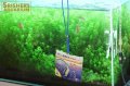 サニー商事 観賞魚用 高級ネット 細目 サイズ４”/S 細目【水槽のお掃除グッズ】
