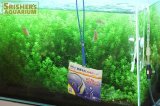 サニー商事 観賞魚用 高級ネット 細目 サイズ４”/S 細目【水槽のお掃除グッズ】