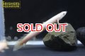 ポリプテルス　セネガルス　ハイポメラニスティック