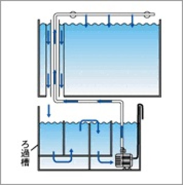 画像5: 水中パワーヘッド・Rio+90 (50Hz)