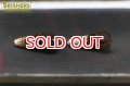 トゥティイエロースポットラビットスネール