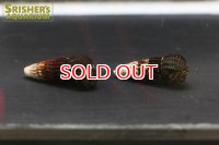 トゥティイエロースポットラビットスネール