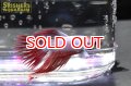 クラウンテールベタ　オス