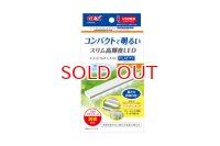 GEX クリアLEDライト フラッティ ホワイト