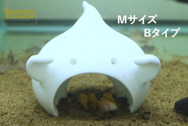 画像6: おばけシェルター Bタイプ