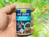 テトラ コリドラス 40g