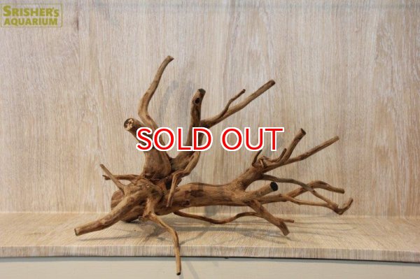 画像3: 枝流木 n-4 茶色Ｌサイズ 1個 ◇色々な角度で楽しめる◇  503g (3)