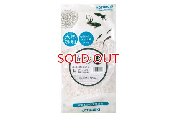 画像1: コトブキ工芸 和彩 月白(げっぱく)2.5kg (1)