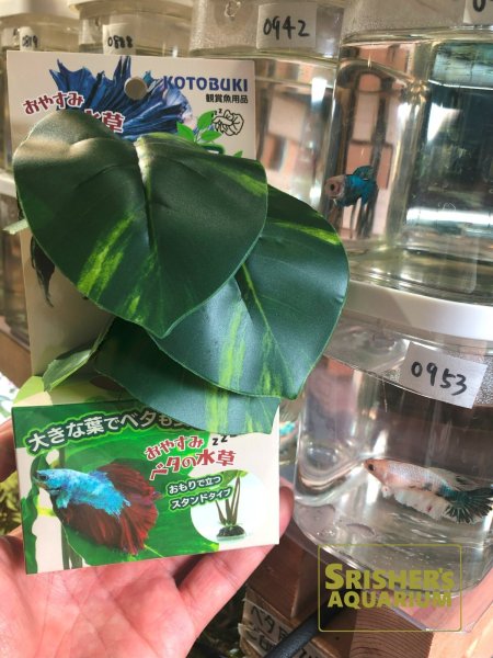 画像2: コトブキ　ベタの水草 スタンドタイプ (2)