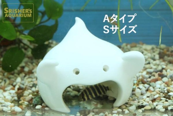 画像5: おばけシェルター Aタイプ (5)