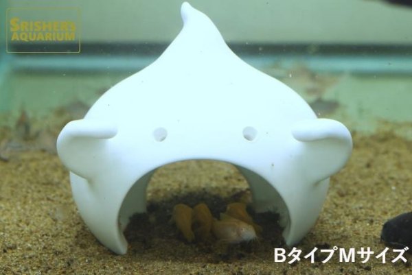 画像6: おばけシェルター Aタイプ (6)