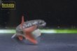 画像3: レッドルビーガラ（ミャンマー） (3)