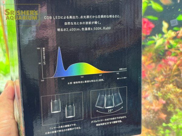 画像3: GEX aquarista CLEAR LED RADIUS (3)