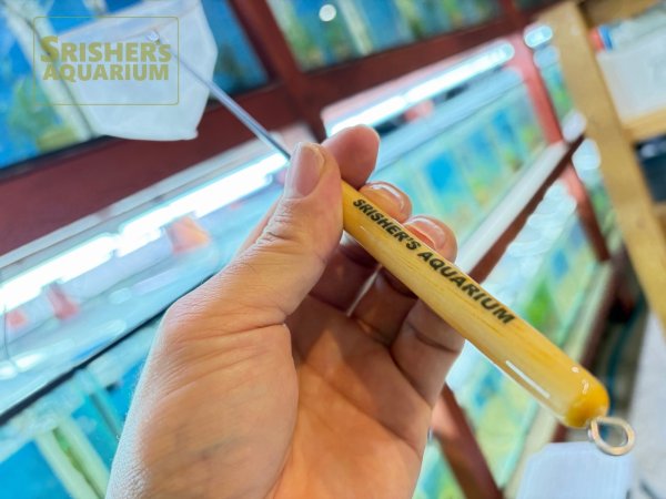 画像3: aguuネット with スリッシャーズアクアリウム (3)