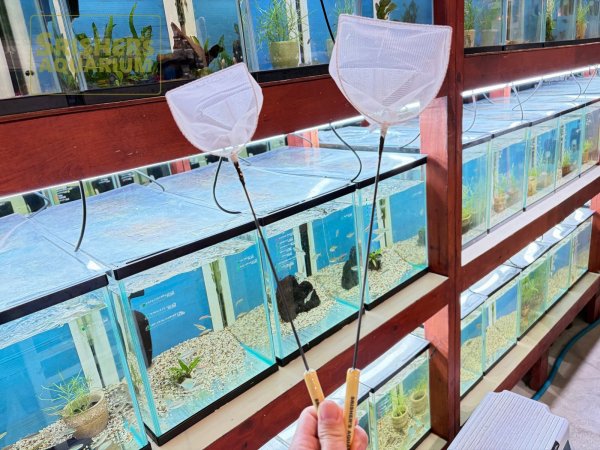 画像1: aguuネット with スリッシャーズアクアリウム (1)